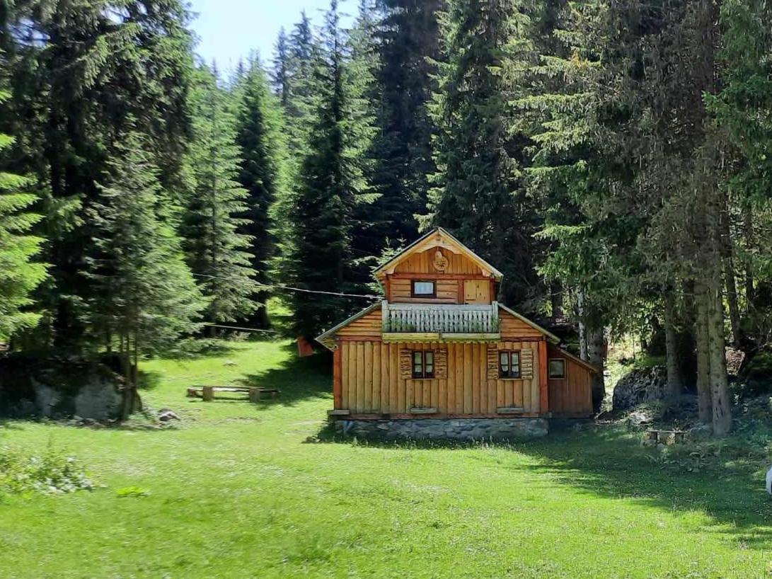 Isov Ranch Villa Plav Exteriör bild