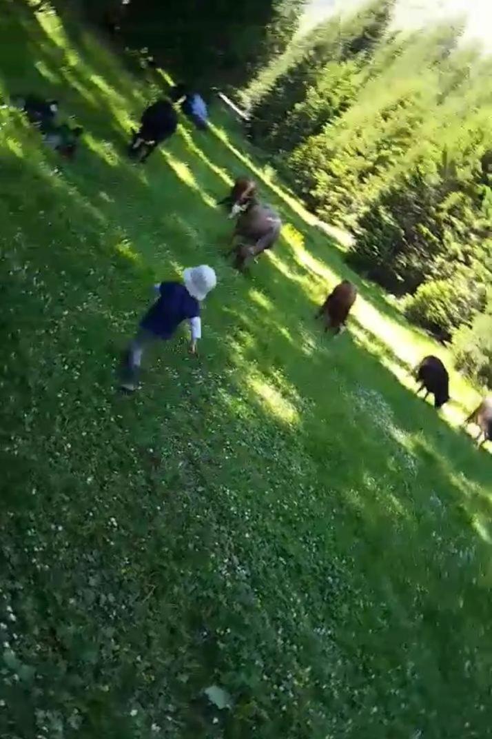 Isov Ranch Villa Plav Exteriör bild