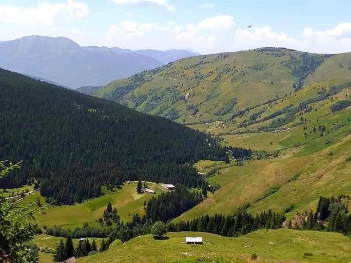 Isov Ranch Villa Plav Exteriör bild