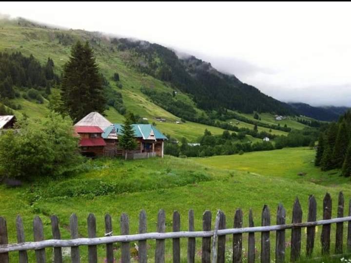 Isov Ranch Villa Plav Exteriör bild