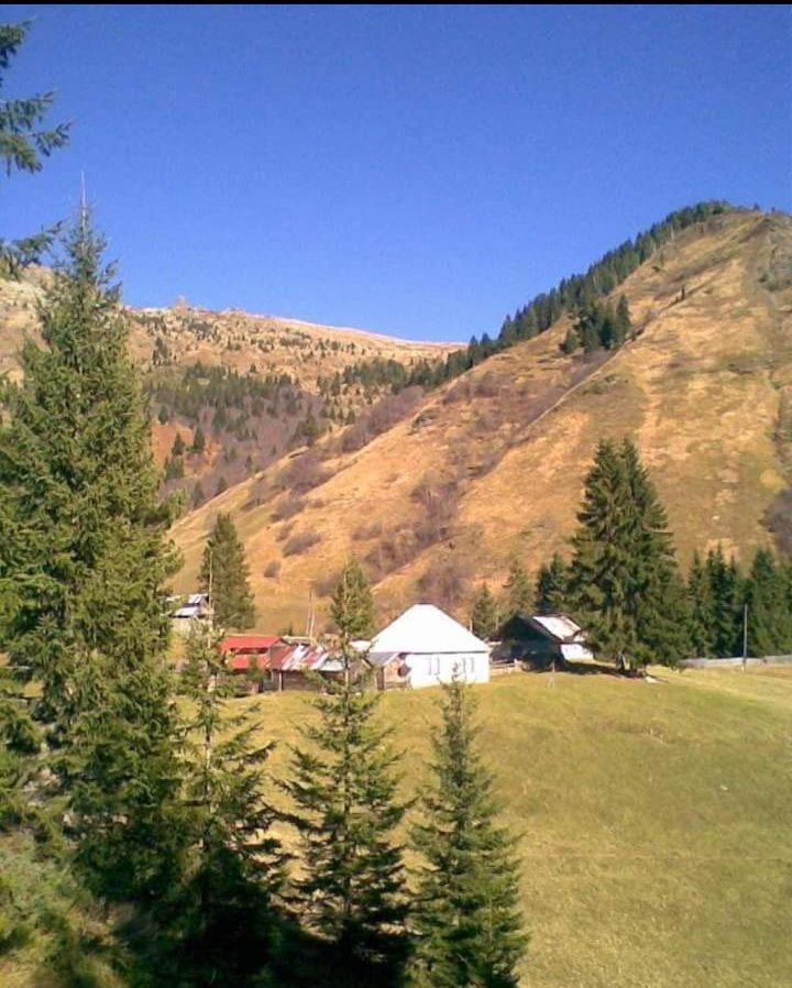 Isov Ranch Villa Plav Exteriör bild