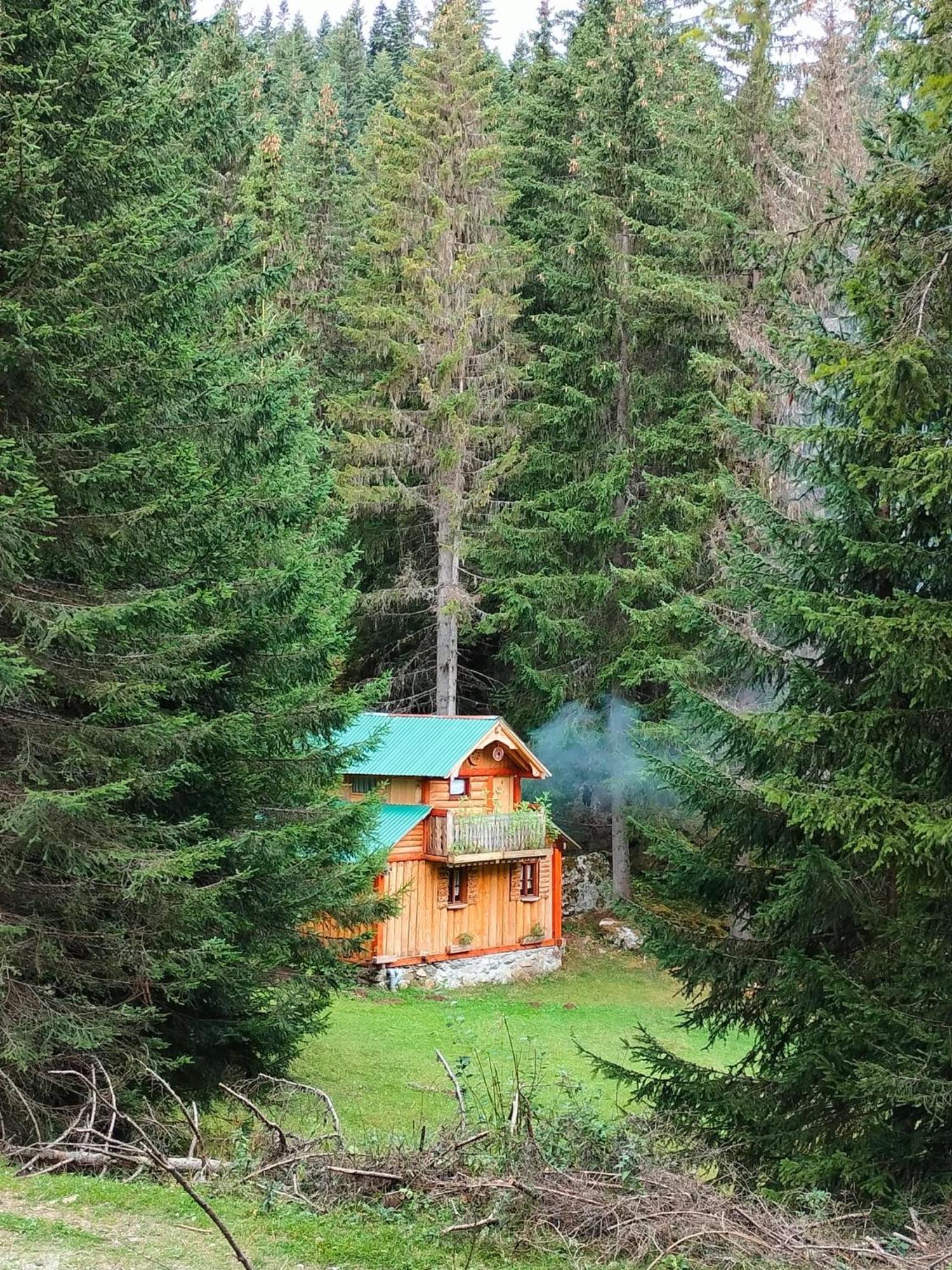 Isov Ranch Villa Plav Exteriör bild